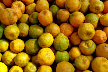 Ripe oranges from organic farm for sale