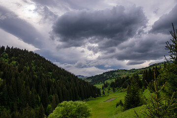 Mountain scenery and pine trees against overcast sky