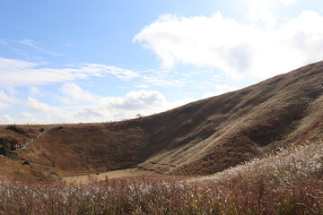 大室山から見える綺麗な景色