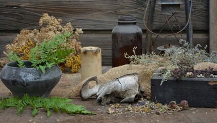 Witch's magic kitchen with herbs, candles and animal bones.