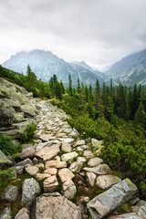 Stones trail in high mountains. Peak peaks in the fog. Vacation and traveler concept