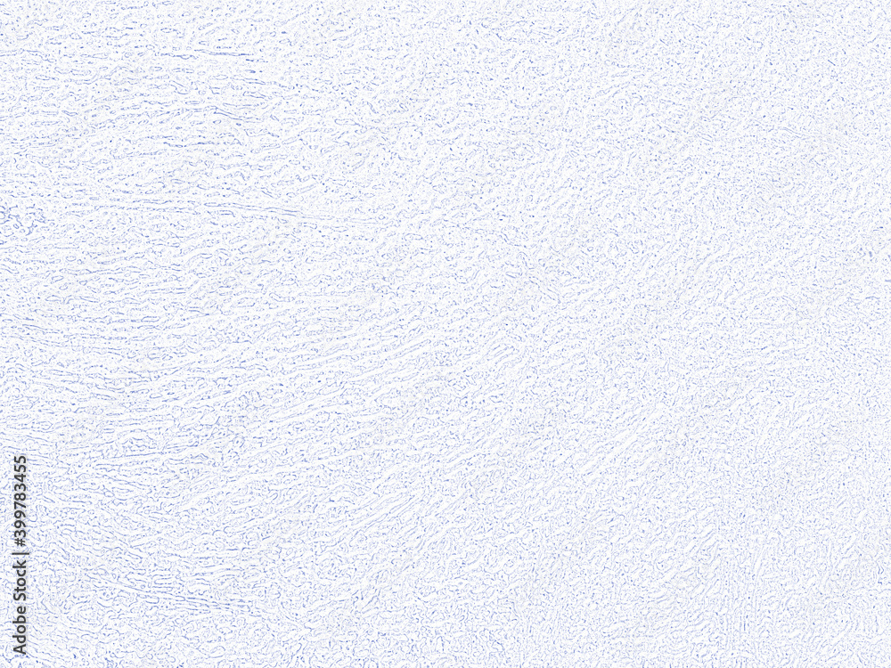 Poster white paper background. ornate fabric pattern in white tones. stylish design textile material. great