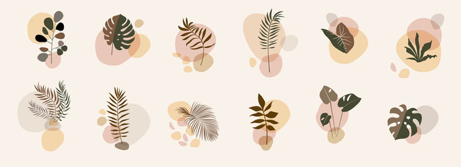 Abstract floral compositions. Boho story templates. Fluid organic shapes, neutral colors. Bohemian exotic leaf prints. Mid Century Modern design. Vector leaves illustration
