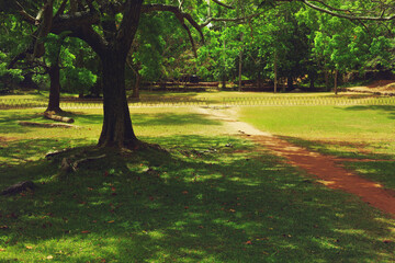 View of the Sigiriya rock in Sri Lanka. Surroundings and rock in Sigiriya.