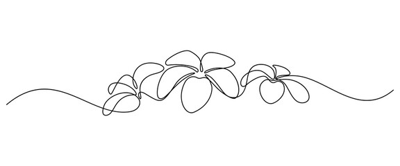 Plumeria flowers in continuous line art drawing style. Border with fragrant tropical plumeria (frangipani, jasmine) flowers. Minimalist black linear sketch on white background. Vector  illustration - obrazy, fototapety, plakaty