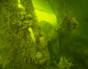 White sea underwater