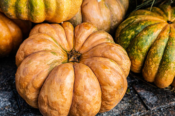 pumpkin ribbed orange whole vegetable closeup halloween symbol