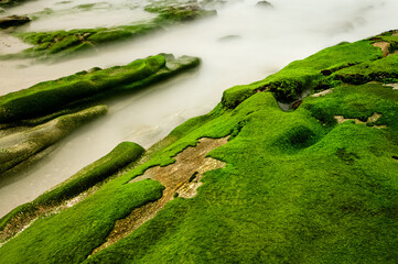 Rocas con algas verdes © Alberto