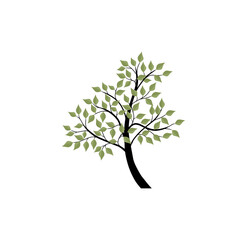 beautiful scenery of tree image with hand drawn style