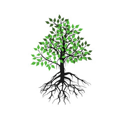 mangrove tree vector illustration, strong roots prevent abrasion on the beach - obrazy, fototapety, plakaty