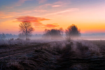Obraz premium Rzeka Narew o poranku - Narwiański Park Narodowy, Podlasie, Polska