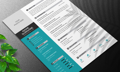 Resume Layout with Blue Accents