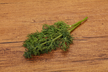 Aroma seasoning - Green Dill branch