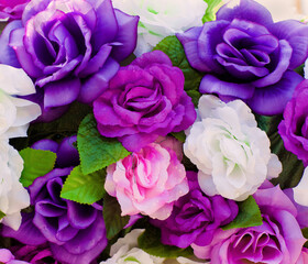 blooming roses of white, purple and pink color in a bouquet