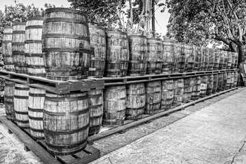 Rum barrels