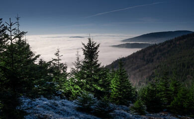 View from mountain range to the valley above fog and clouds, high altitude landscape,sun,blue sky,clouds, spruce trees, sunlight,daylight. Jeseniky mountains,Czech Republic.  .