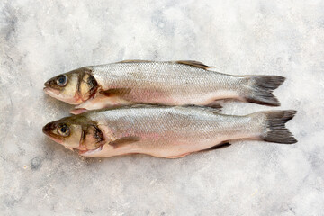 Seabass fish isolated on gray textured background, top view.