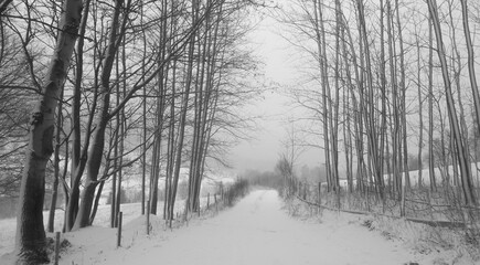 Country road during heavy snowfall