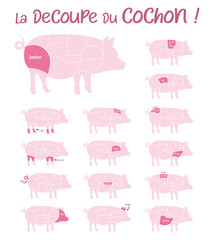 La découpe du cochon, croquis des morceaux