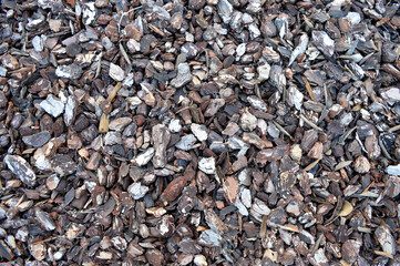 
a brown background of pine bark