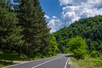Fototapeta premium road in the mountains