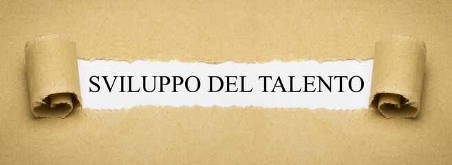 Sviluppo del talento