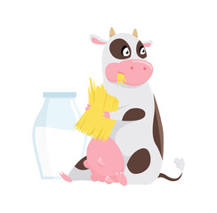 Cute spotted cow eating grass, funny farm animal cartoon character Illustration on a white background.