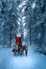 Santa Claus and his reindeer in forest