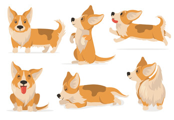 Friendly corgi set. Cartoon pet expressing different emotions, comic puppy dog sleeping, running, sitting. Vector illustration for pet care, domestic animals, cute character concept