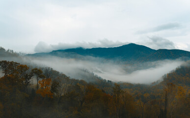 Great Smoky Mountains In Late Autumn