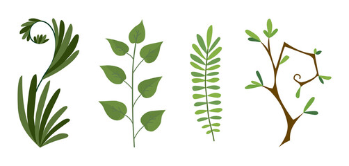 designer elements set collection of green forest fern, tropical green eucalyptus greenery art foliage natural branch, leaves herbs in watercolor style. Illustration for design.