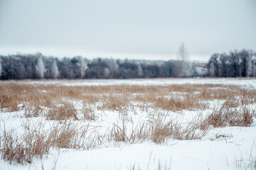 Winter landscape with snow covered countryside. European winter landscape.