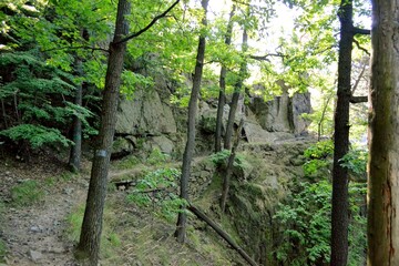 Ścieżka Hochberg&oacute;w w Parku Książańskim nad potokiem Pełcznica, koło Wałbrzycha na Dolnym Śląsku