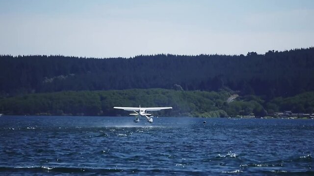 Small hydroplane take off from Lake Taupo, New Zealand from a choppy lake with green forest in the background.