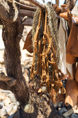 a horse's harness hanging on the branch of a tree