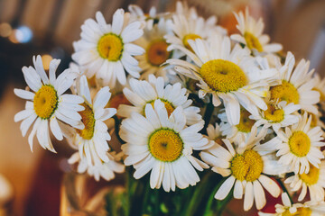 Obraz premium Bouquet of daisies on colorful background. Close-up. Macro.