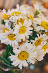 Obraz premium Bouquet of daisies on colorful background. Close-up. Macro.