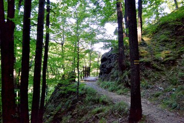 Ścieżka Hochbergów w Parku Książańskim nad potokiem Pełcznica, koło Wałbrzycha na Dolnym Śląsku