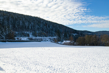 Titisee-Neustadt, Germany - 10 30 2012: surroundings of Titisee, scenic veiw of nature, forest and european village in a beautiful winter cold day
