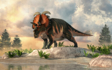 Albertaceratops is an extinct dinosaur that lived in Cretaceous era Canada. Part of the same family as triceratops, it was recognized by long brow horns and bony nose ridge. 3D Rendering.