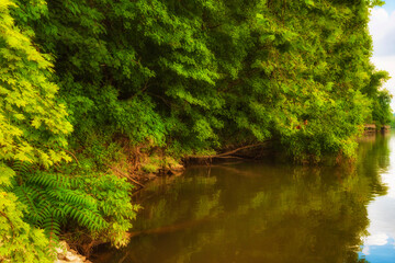 Ijam Nature Park Boardwalk along the Tennessee River