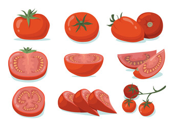Fresh tomatoes set. Red whole and cut vegetables, halves and slices isolated on white. Vector illustration for organic food, vegetarian diet, cooking ingredient, agriculture concept