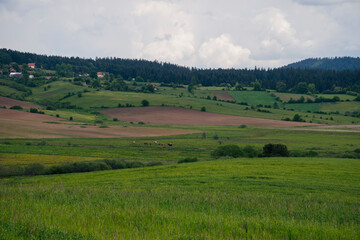 Fototapeta premium landscape in the mountains