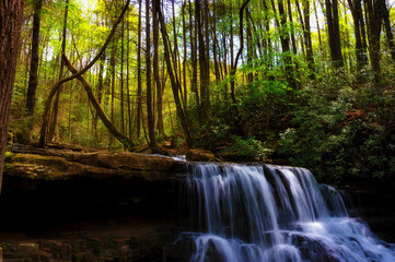 Fototapeta na wymiar Lural Run Waterfalls in Tennessee