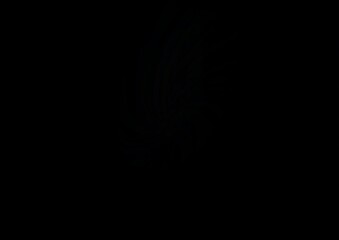 Dark Black vector template with lines, ovals.