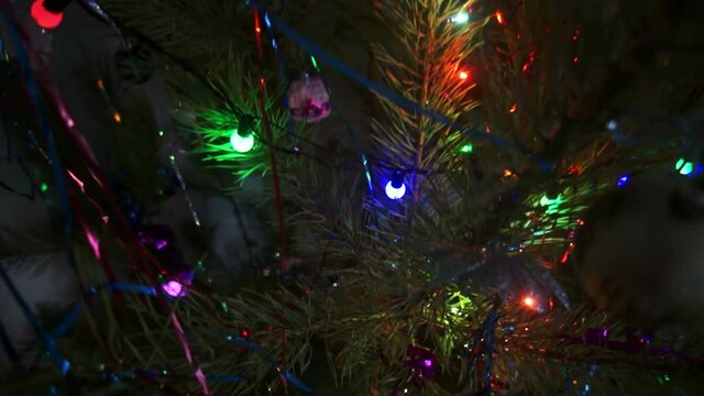 passage of the camera between the branches of a decorated fir tree