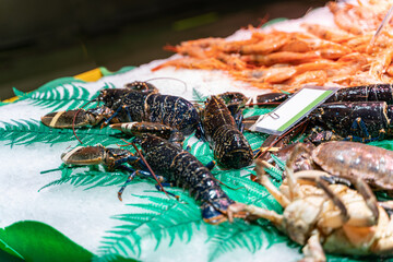 Different sorts of fish, crayfishes, crabs, molluscs, arthropods at fish market