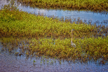 Natchez Trace Parkway in Tennessee, USA