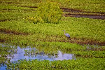 Natchez Trace Parkway in Tennessee, USA
