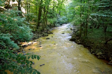 rzeka Pełcznica,  w Parku Książańskim koło Wałbrzycha na Dolnym Śląsku © Albin Marciniak